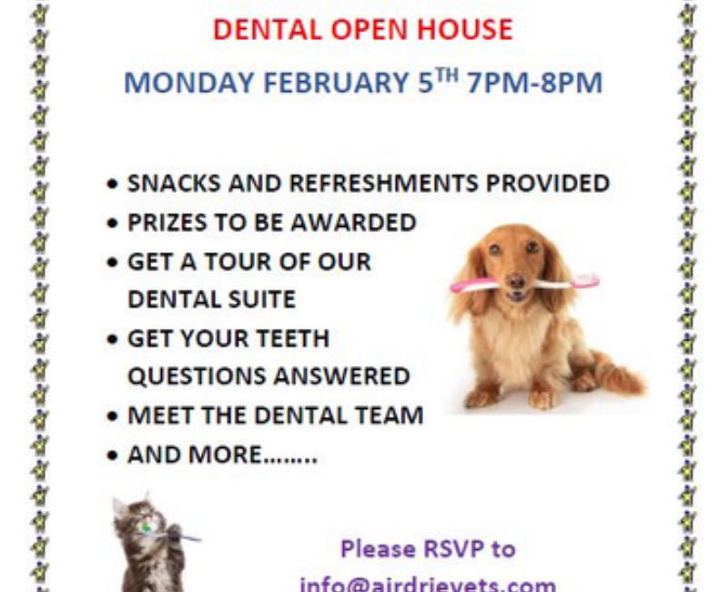 Dental Open House Poster